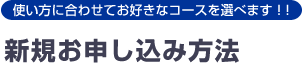gɍ킹ĂDȃR[XIׂ܂IVK\ݕ@
