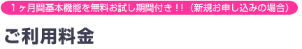 1Ԋ{@\𖳗ԕtIIiVK\݂̏ꍇjp